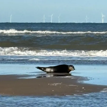 Naarstrand Hébergement de vacances Egmond aan Zee