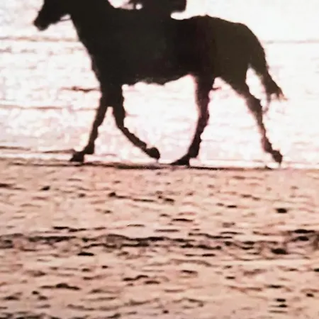 Hébergement de vacances Naarstrand Egmond aan Zee